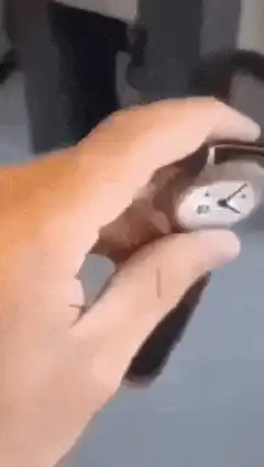 Hand holding and showing a watch