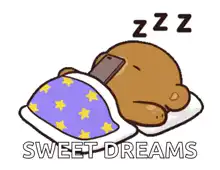 sleeping bear with phone sweet dreams