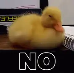 Yellow duckling shaking head no
