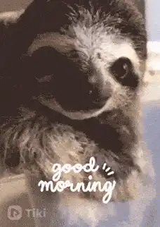 Sloth Good Morning