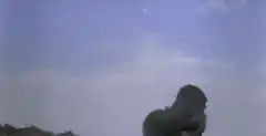 King Kong flips off a helicopter