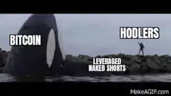 Bitcoin whale eats leveraged naked shorts