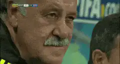 Vicente del Bosque disappointed reaction