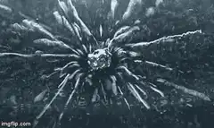 Giant sea urchin in dark water
