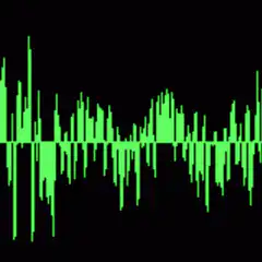 green audio waveform on black