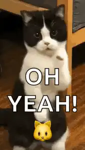 Cat dancing with OH YEAH text