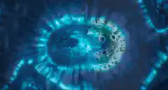 Cell division and a man watching