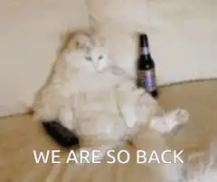 Cat with beer and remote WE ARE SO BACK