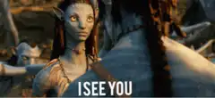 Neytiri I See You