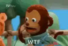 Monkey puppet shocked WTF