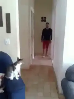 Man walks down hallway and cat hisses