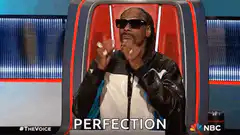 Snoop Dogg Perfection