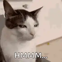 Cat looking skeptical with Hmmm text