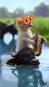 cat playing saxophone on buffalo