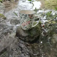 Floral mug on mossy rock in stream