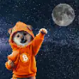 Shiba Inu in orange hoodie pointing at moon
