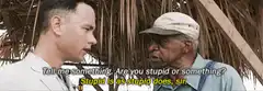 Forrest Gump Stupid is as Stupid Does