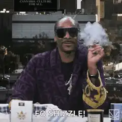 Snoop Dogg smoking and saying fo shizzle