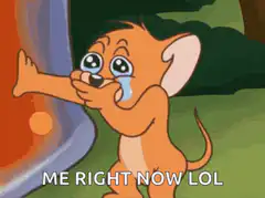 Jerry crying with text