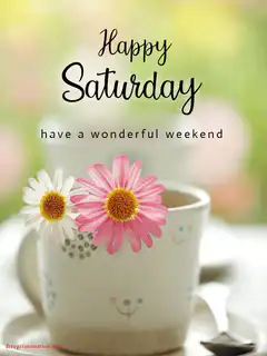 Happy Saturday with flowers in a mug