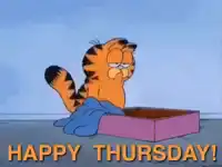 Garfield in a box happy thursday