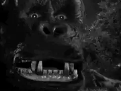 King Kong and Ann Darrow close-up
