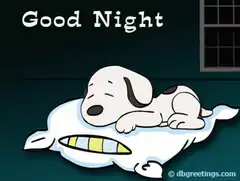 Snoopy sleeping with Good Night text