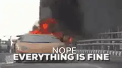 burning car nope everything is fine