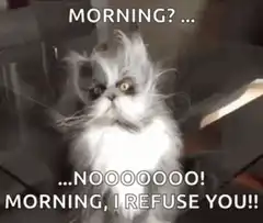 Grumpy Cat Refuses Morning