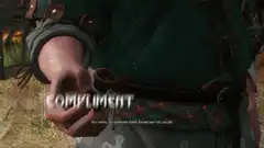 Geralt of Rivia Compliment Dialogue Option