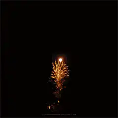Golden and white fireworks exploding