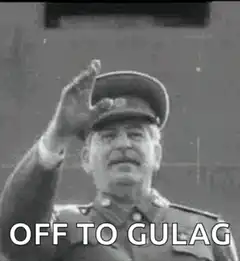 Stalin waving off to gulag