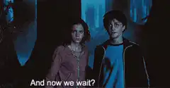 Harry and Hermione And now we wait