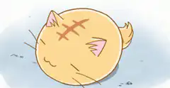 round cat rolls and wakes up