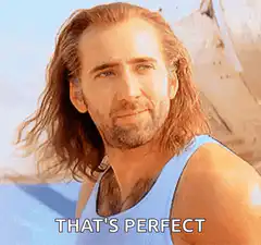 Nicolas Cage That's Perfect
