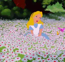 Alice falls into the field of flowers