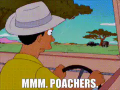 Lenny and Carl spot poachers
