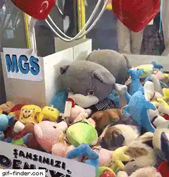 Cat yawning in claw machine