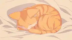 sleeping orange tabby cat
