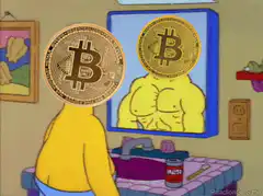 Bitcoin head looking in mirror