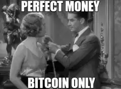 Perfect Money Bitcoin Only
