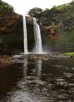 waterfall in lush green forest