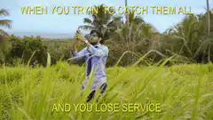 Man trying to catch Pokemon in tall grass