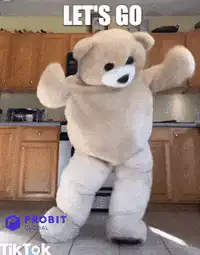 dancing teddy bear let's go