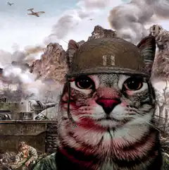 war cat soldier