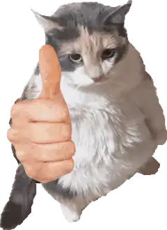 calico cat giving thumbs up