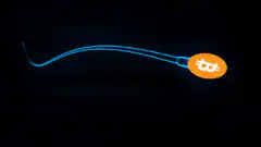 Bitcoin sperm swimming