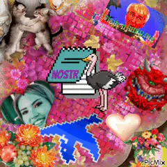 Nostr ostrich collage