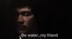 Bruce Lee be water game changer