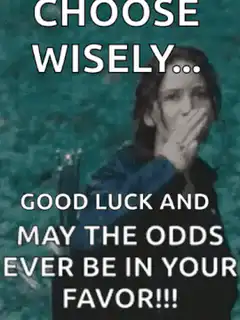 Katniss Everdeen Choose Wisely Good Luck